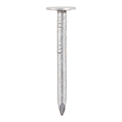 Clout Nails - Galvanised 30 x 2.65mm